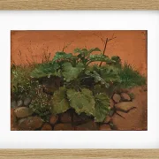 Eine Klette und andere Pflanzen auf einer Steinmauer – 1847