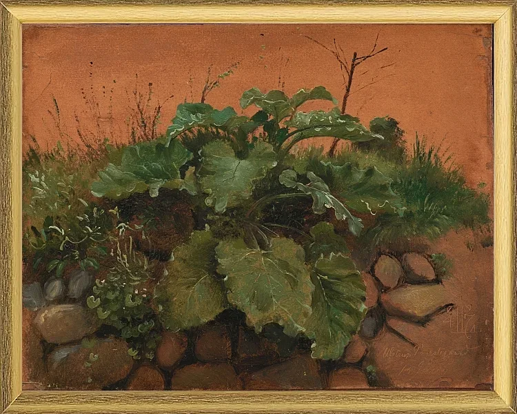 Eine Klette und andere Pflanzen auf einer Steinmauer – 1847