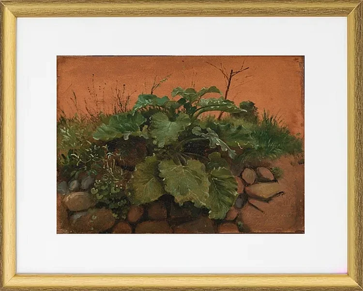 Eine Klette und andere Pflanzen auf einer Steinmauer – 1847