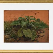 Eine Klette und andere Pflanzen auf einer Steinmauer – 1847