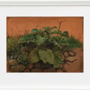 Johan Lundbye –  Eine Klette und andere Pflanzen auf einer Steinmauer 1847 | Giclée Kunstdruck gerahmt