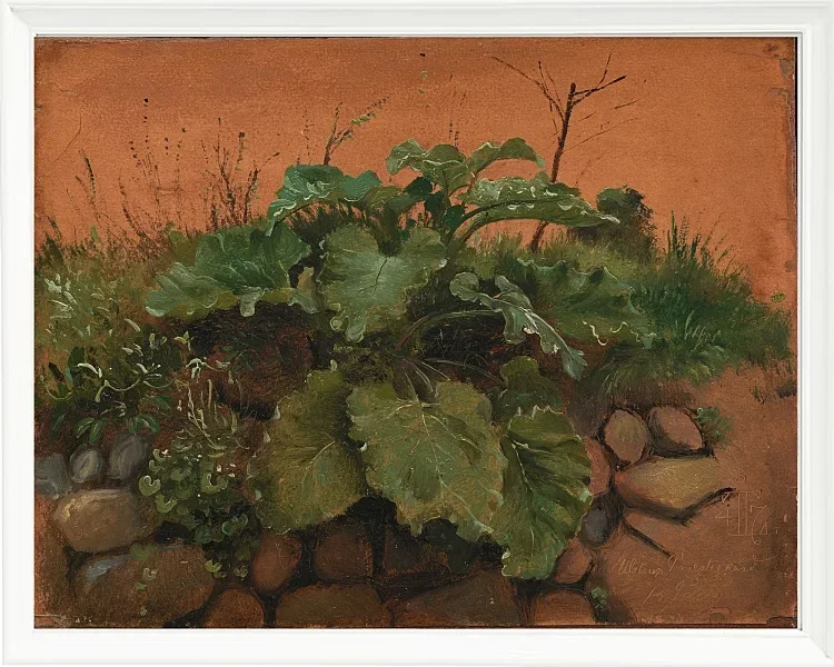Johan Lundbye –  Eine Klette und andere Pflanzen auf einer Steinmauer 1847 | Giclée Kunstdruck gerahmt