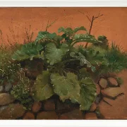 Johan Lundbye –  Eine Klette und andere Pflanzen auf einer Steinmauer 1847 | Giclée Kunstdruck gerahmt