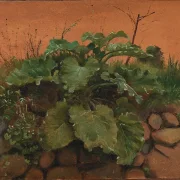 Johan Lundbye –  Eine Klette und andere Pflanzen auf einer Steinmauer 1847 | Giclée Kunstdruck gerahmt