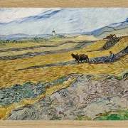 Indelukket mark med plovmand - 1889