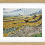 Indelukket mark med plovmand - 1889