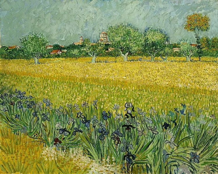 Feld mit Blumen in der Nähe von Arles - 1888