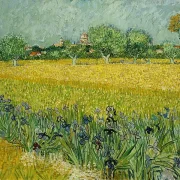 Feld mit Blumen in der Nähe von Arles - 1888