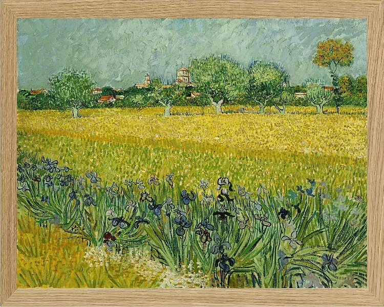 Feld mit Blumen in der Nähe von Arles - 1888