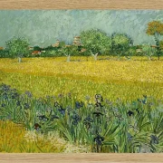 Feld mit Blumen in der Nähe von Arles - 1888