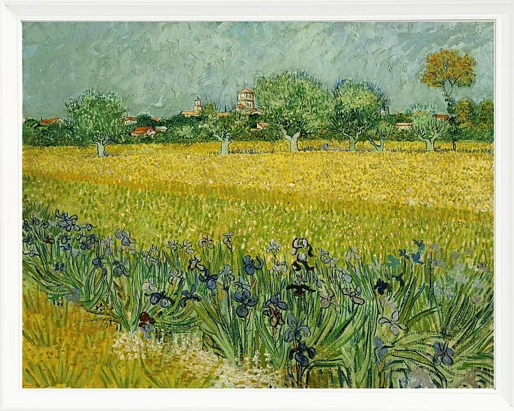 Feld mit Blumen in der Nähe von Arles - 1888