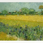 Feld mit Blumen in der Nähe von Arles - 1888