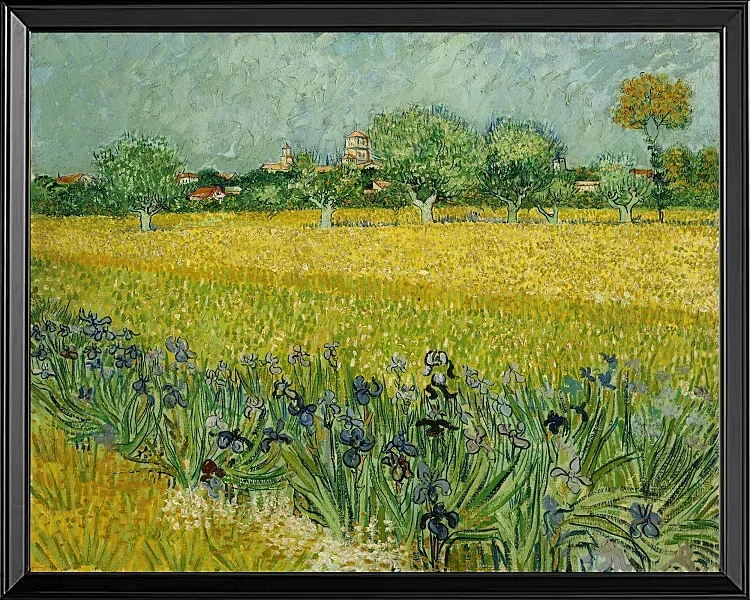 Feld mit Blumen in der Nähe von Arles - 1888