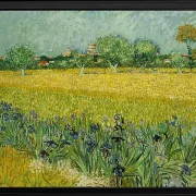 Feld mit Blumen in der Nähe von Arles - 1888