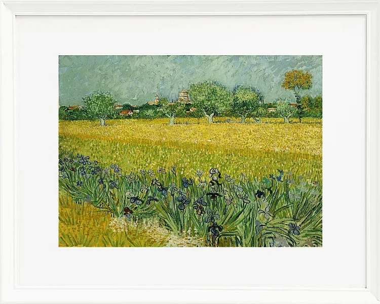 Feld mit Blumen in der Nähe von Arles - 1888