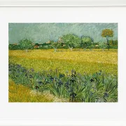 Feld mit Blumen in der Nähe von Arles - 1888