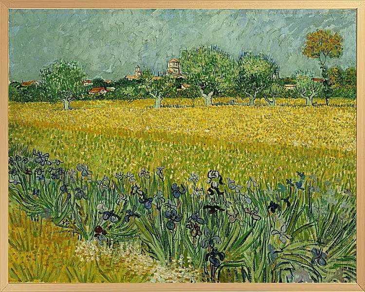 Feld mit Blumen in der Nähe von Arles - 1888