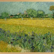 Feld mit Blumen in der Nähe von Arles - 1888