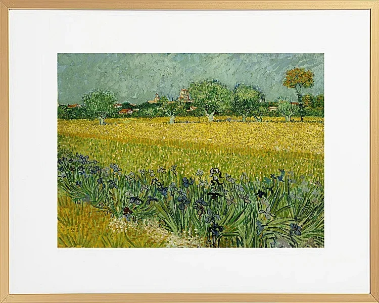 Feld mit Blumen in der Nähe von Arles - 1888