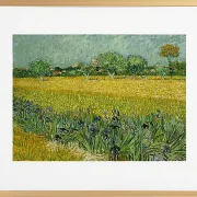 Feld mit Blumen in der Nähe von Arles - 1888