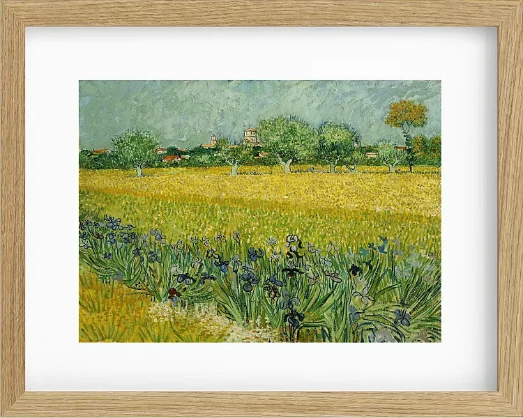 Feld mit Blumen in der Nähe von Arles - 1888