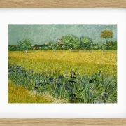 Feld mit Blumen in der Nähe von Arles - 1888