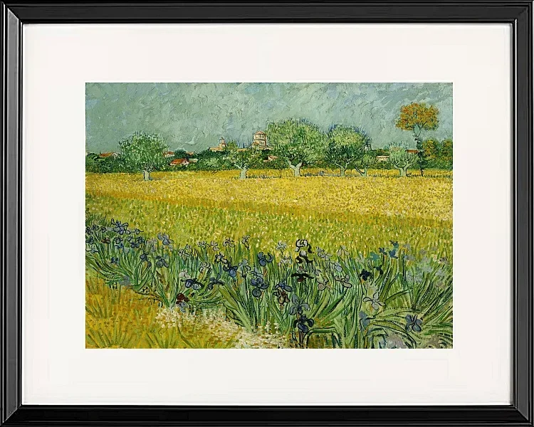 Feld mit Blumen in der Nähe von Arles - 1888
