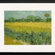 Feld mit Blumen in der Nähe von Arles - 1888