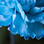 Fotokunst Abstrakt - 02