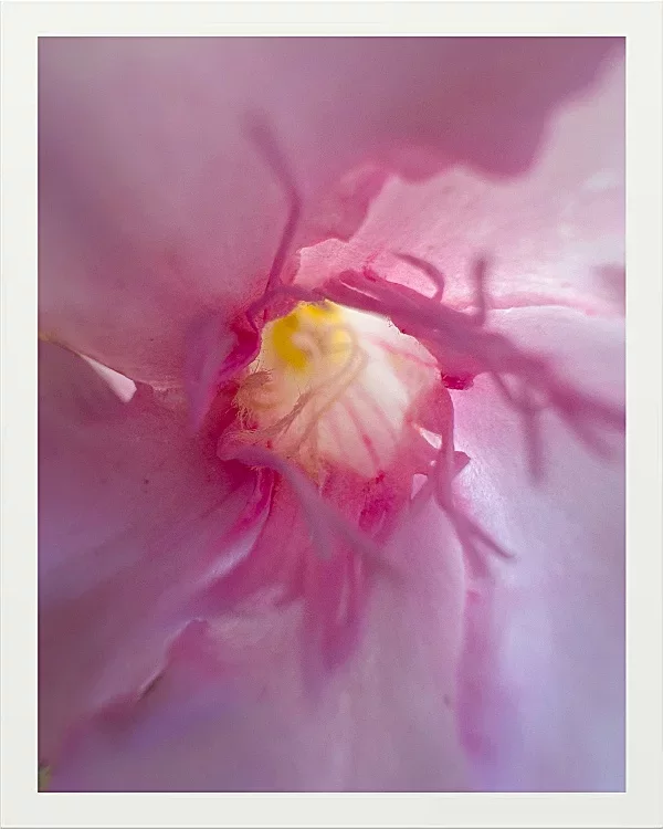 Fotokunst Blüten - 87