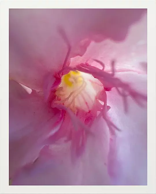 Fotokunst blomster - 87
