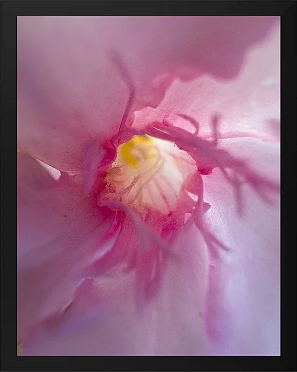 Fotokunst Blüten - 87