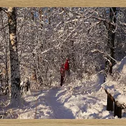 Fotokunst Landschaft - 03