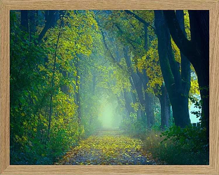 Fotokunst Landschaft - 04