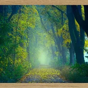 Fotokunst Landschaft - 04