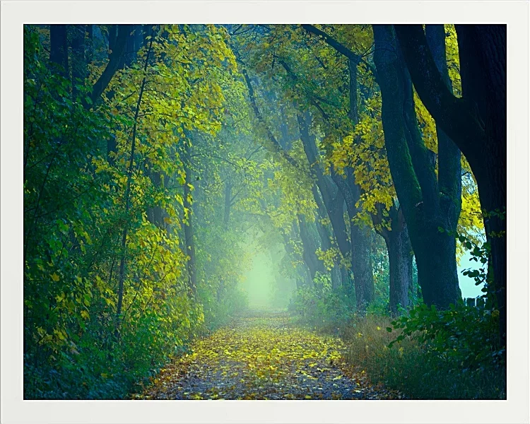Fotokunst Landschaft - 04