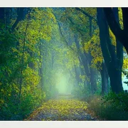 Fotokunst Landschaft - 04
