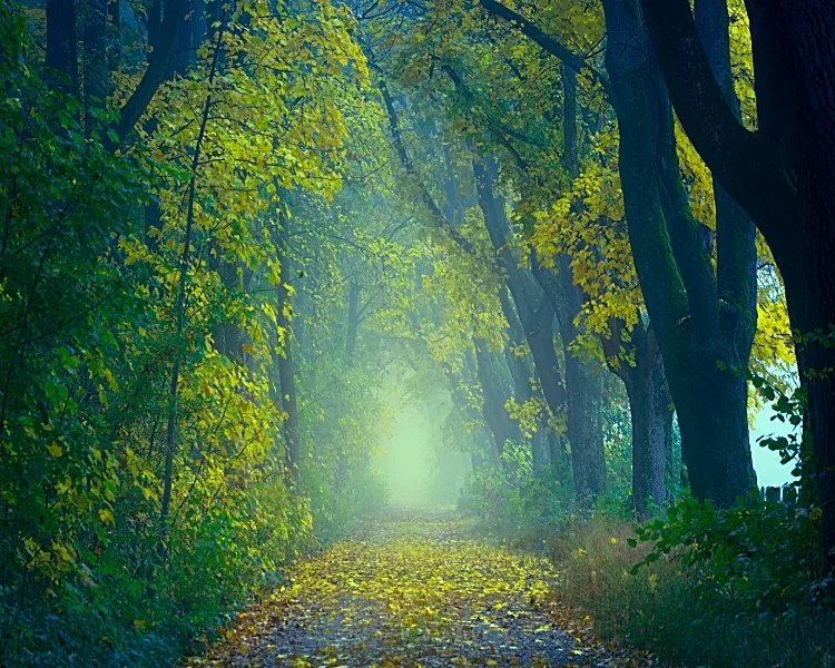 Fotokunst Landschaft - 04