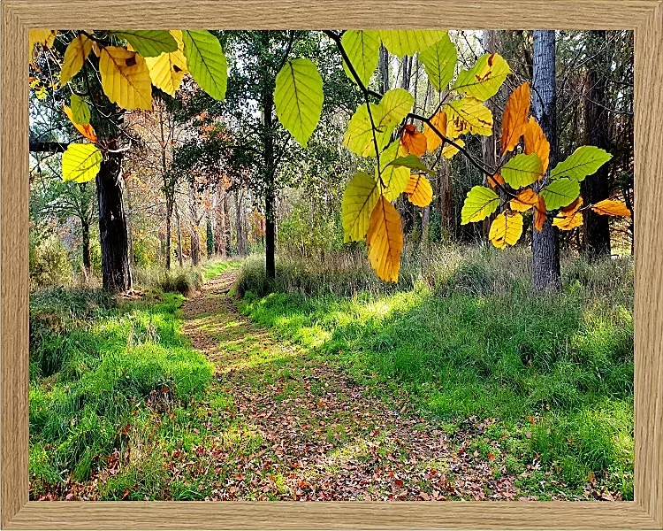 Fotokunst Landschaft - 07