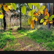 Fotokunst Landschaft - 07