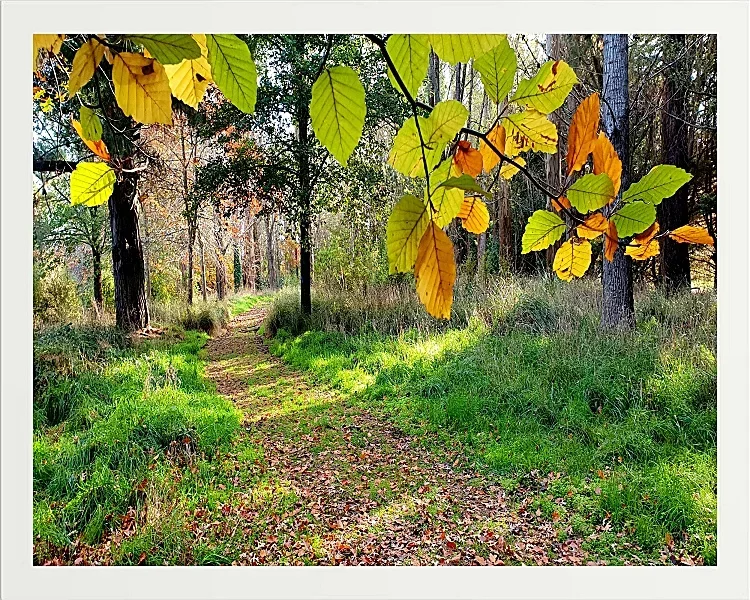 Fotokunst Landschaft - 07