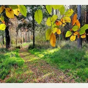 Fotokunst Landschaft - 07