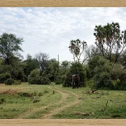 Fotokunst Landschaft - 15