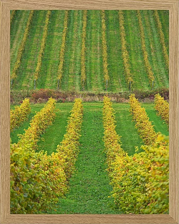 Fotokunst Landschaft - 21