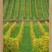 Fotokunst Landschaft - 21