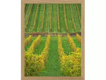 Fotokunst Landschaft - 21