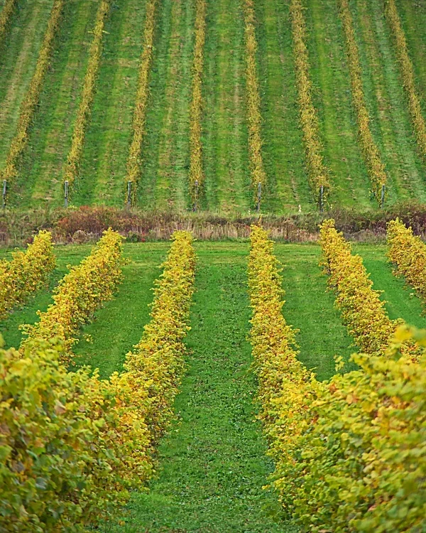 Fotokunst Landschaft - 21