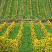 Fotokunst Landschaft - 21