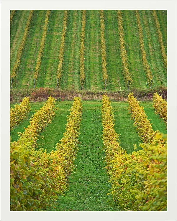 Fotokunst Landschaft - 21