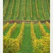 Fotokunst Landschaft - 21